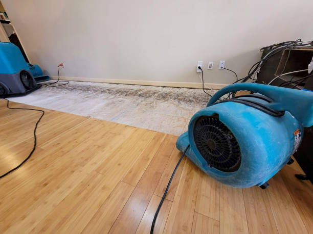 Professional Flood Damage Cleanup technician working in Hill Afb, UT